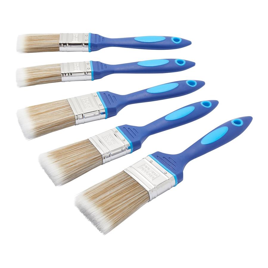 Fit For The Job No Bristle Loss 5 pc Paint Brush Set